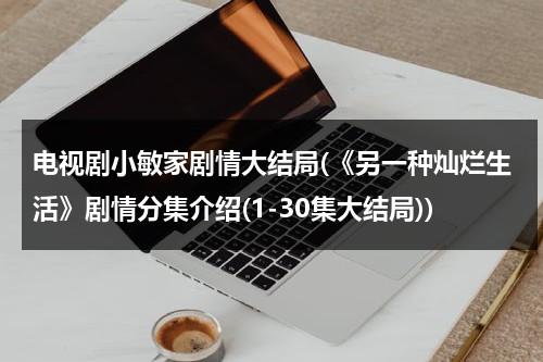 电视剧小敏家剧情大结局(《另一种灿烂生活》剧情分集介绍(1-30集大结局))（小敏家电视剧人物关系）-第1张图片-九妖电影