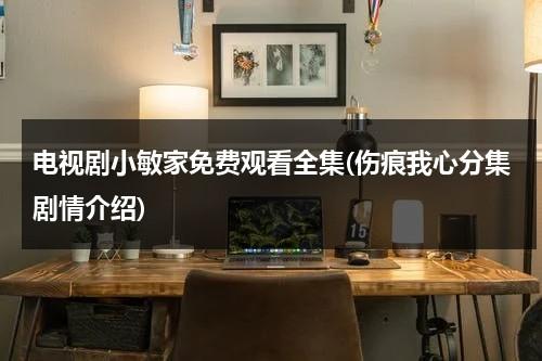 电视剧小敏家免费观看全集(伤痕我心分集剧情介绍)（电视剧小敏家免费观看全集百度云）-第1张图片-九妖电影