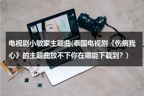电视剧小敏家主题曲(泰国电视剧《伤痕我心》的主题曲放不下你在哪能下载到？)（电视剧小敏家结局）-第1张图片-九妖电影