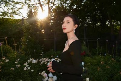 高圆圆现身晚宴，黑裙搭大卷发尽显冻龄美-第1张图片-九妖电影