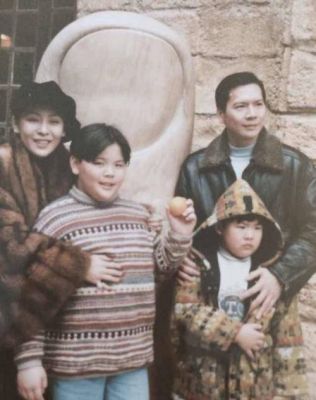 向华强的两子成谜：向佑身份揭秘与家庭差异大探讨-第1张图片-九妖电影
