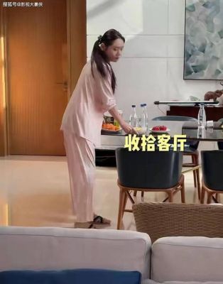 秋瓷炫豪宅大扫除：兼顾家务与事业的全能女强人生活揭秘-第1张图片-九妖电影