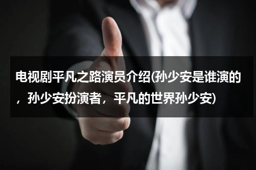 电视剧平凡之路演员介绍(孙少安是谁演的，孙少安扮演者，平凡的世界孙少安)（平凡的生活孙少安结局）-第1张图片-九妖电影