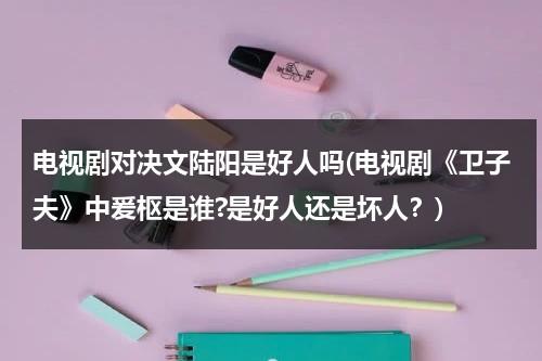 电视剧对决文陆阳是好人吗(电视剧《卫子夫》中爰枢是谁?是好人还是坏人？)（小说对决六儿免费阅读）-第1张图片-九妖电影