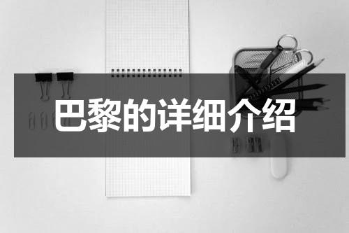 巴黎的详细介绍（了解巴黎最好的书）-第1张图片-九妖电影