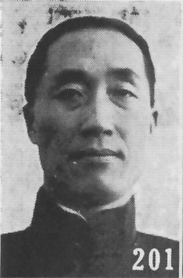 张道藩（张道藩 郎鲁逊）-第1张图片-九妖电影