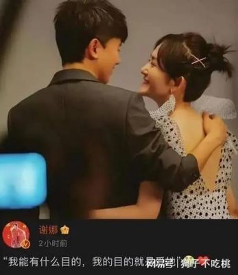 张杰谢娜：幸福婚姻与事业共赢的明星夫妻揭秘-第1张图片-九妖电影
