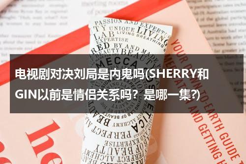 电视剧对决刘局是内鬼吗(SHERRY和GIN以前是情侣关系吗？是哪一集?)（对决连续剧）-第1张图片-九妖电影