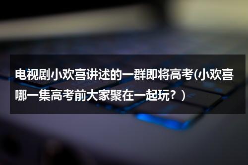 电视剧小欢喜讲述的一群即将高考(小欢喜哪一集高考前大家聚在一起玩？)（小欢喜高考都考了多少分）-第1张图片-九妖电影