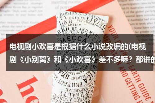 电视剧小欢喜是根据什么小说改编的(电视剧《小别离》和《小欢喜》差不多嘛？都讲的什么故事？)（小欢喜是小别离的前传吗是第几集）-第1张图片-九妖电影