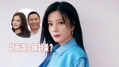 赵薇作品移名背后真相：她与万维网老板的纠葛揭秘-第1张图片-九妖电影