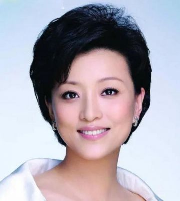 杨澜感情真相大揭秘：离婚原因曝光，一段不堪过往引热议-第1张图片-九妖电影