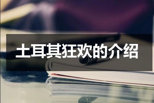 土耳其狂欢的介绍（土耳其狂欢 1080p 下载）-第1张图片-九妖电影