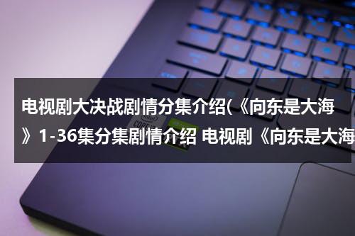 电视剧大决战剧情分集介绍(《向东是大海》1-36集分集剧情介绍 电视剧《向东是大海》全集剧情介绍)（电视剧向东是大海演员表）-第1张图片-九妖电影