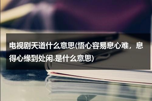 电视剧天道什么意思(悟心容易息心难，息得心缘到处闲.是什么意思)（悟心悟道悟自己）-第1张图片-九妖电影