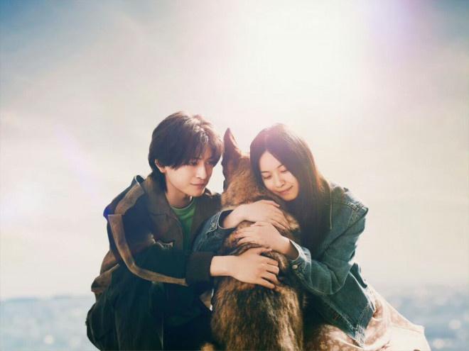 高桥文哉《少年与犬》曝预告 斋藤工等加盟共演（高桥文哉新日剧）-第2张图片-九妖电影