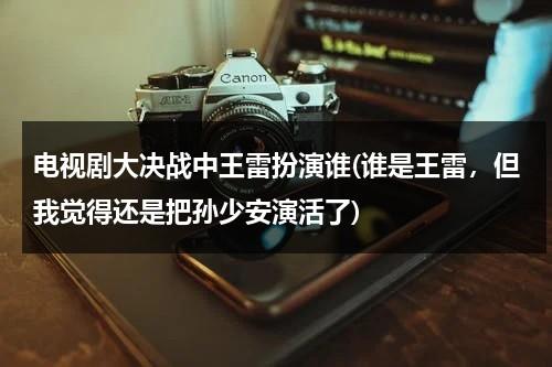 电视剧大决战中王雷扮演谁(谁是王雷，但我觉得还是把孙少安演活了)（王雷主演的战争电视剧）-第1张图片-九妖电影