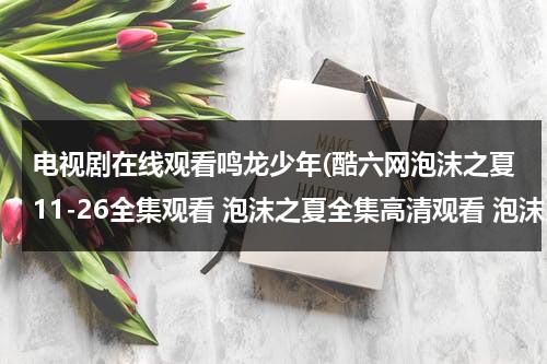 电视剧在线观看鸣龙少年(酷六网泡沫之夏11-26全集观看 泡沫之夏全集高清观看 泡沫之夏11集-优酷土豆在线)（鸣龙茶叶是什么茶）-第1张图片-九妖电影
