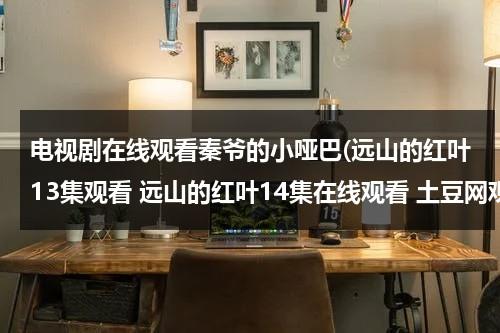 电视剧在线观看秦爷的小哑巴(远山的红叶13集观看 远山的红叶14集在线观看 土豆网观看电视剧远山的红叶13,14集 远山的红叶全集在线观看)（电视剧在线观看秦爷的小哑巴6）-第1张图片-九妖电影