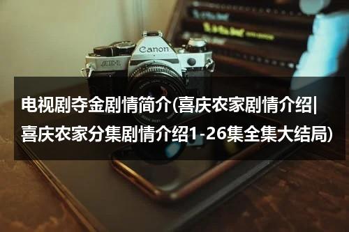 电视剧夺金剧情简介(喜庆农家剧情介绍|喜庆农家分集剧情介绍1-26集全集大结局)（电视连续剧《夺金》）-第1张图片-九妖电影