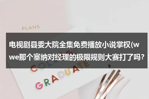 电视剧县委大院全集免费播放小说掌权(wwe那个塞纳对经理的极限规则大赛打了吗？打了求视频，没打求时间)（县委大院电视剧）-第1张图片-九妖电影