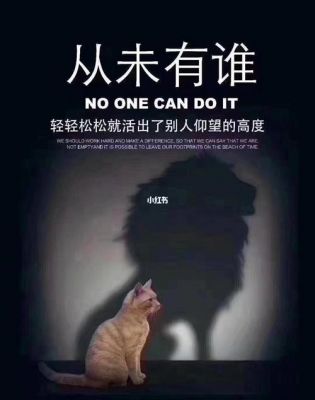 白燕升：从全能主持到细心裁缝，感动亿万网友的生活故事-第1张图片-九妖电影