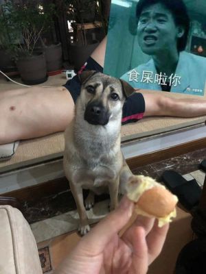 阿娇新加坡演唱会吸胖争议，面对吐槽仍然我行我素-第1张图片-九妖电影