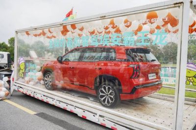 全红婵获三辆豪车，巴黎奥运新年礼物成村庄打卡地-第1张图片-九妖电影