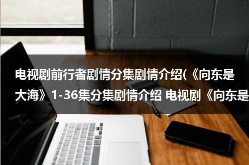 电视剧前行者剧情分集剧情介绍(《向东是大海》1-36集分集剧情介绍 电视剧《向东是大海》全集剧情介绍)（前行者分集剧情介绍电视猫）-第1张图片-九妖电影