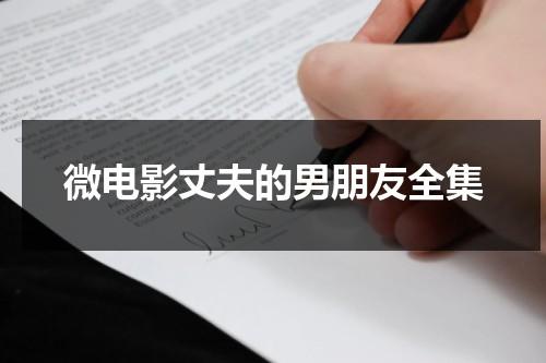 微电影丈夫的男朋友全集（丈夫电视剧20集剧情介绍大结局）-第1张图片-九妖电影