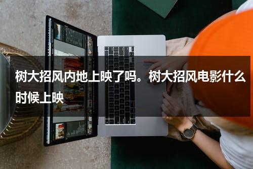 树大招风内地上映了吗。树大招风电影什么时候上映（树大招风电影解析）-第1张图片-九妖电影