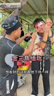 王星被解救引发关注：日本电信诈骗暴露暗流-第1张图片-九妖电影