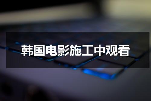 韩国电影施工中观看（韩国电影布拉格夫人免费完整版）-第1张图片-九妖电影