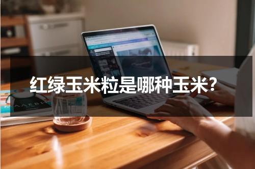 红绿玉米粒是哪种玉米？（红绿玉是什么）-第1张图片-九妖电影