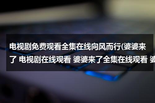 电视剧免费观看全集在线向风而行(婆婆来了 电视剧在线观看 婆婆来了全集在线观看 婆婆来了大结局在线观看)（电视剧婆婆来了全集播放 视频）-第1张图片-九妖电影