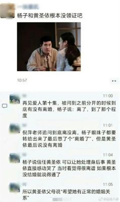 《再见爱人4》收官，黄圣依杨子彻底分开，婚姻状况引热议-第1张图片-九妖电影