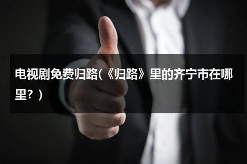 电视剧免费归路(《归路》里的齐宁市在哪里？)（小说《归路》）-第1张图片-九妖电影