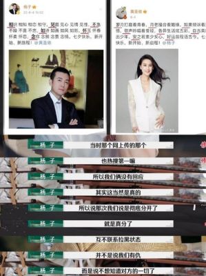 黄圣依杨子离婚真相曝光：从依赖到独立的婚姻悲剧-第1张图片-九妖电影