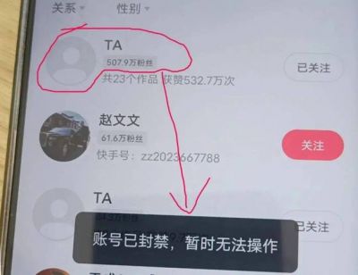 TikTok因禁令停止美国服务，魔仙哥麦凯恩影响几何？-第1张图片-九妖电影