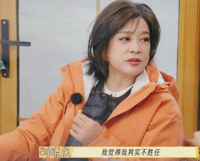 刘晓庆与李小冉：撕咖大战背后的深意与人生思考-第1张图片-九妖电影