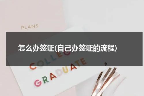 怎么办签证(自己办签证的流程)（自己怎么办旅游签证）-第1张图片-九妖电影