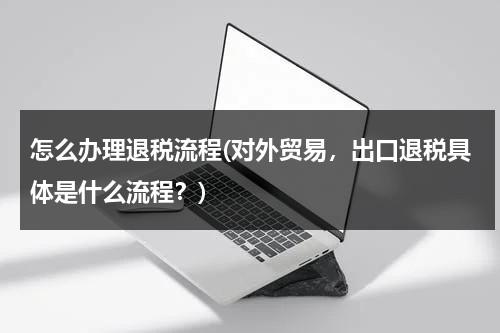 怎么办理退税流程(对外贸易，出口退税具体是什么流程？)（外贸出口退税整个申报流程是怎样的?）-第1张图片-九妖电影