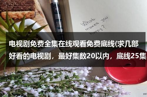 电视剧免费全集在线观看免费底线(求几部好看的电视剧，最好集数20以内，底线25集，2009年以后（民国时期的，谍战之类的不要）)（电视剧《底线》）-第1张图片-九妖电影