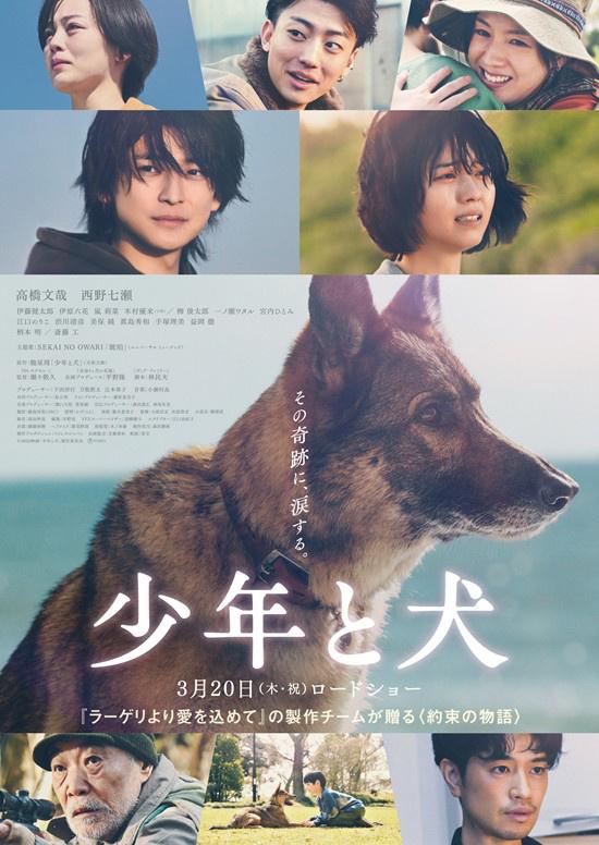 催泪主题曲公开！高桥文哉《少年与犬》曝主预告（少年与犬 搜狐 驰星周）-第1张图片-九妖电影
