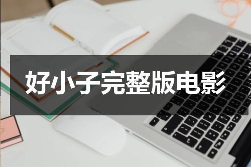 好小子完整版电影（好小子在线观看全集）-第1张图片-九妖电影