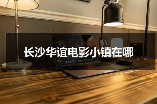 长沙华谊电影小镇在哪（长沙华谊电影小镇 营业时间）-第1张图片-九妖电影