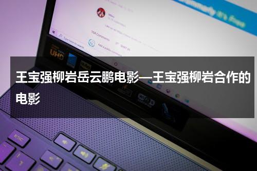 王宝强柳岩岳云鹏电影—王宝强柳岩合作的电影（王宝强柳岩岳云鹏什么电影）-第1张图片-九妖电影