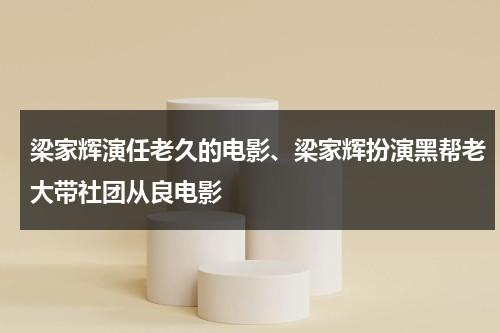 梁家辉演任老久的电影、梁家辉扮演黑帮老大带社团从良电影（梁家辉老大形象）-第1张图片-九妖电影