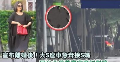 小S与汪小菲共伴大S骨灰回台，情感深厚引发热议-第1张图片-九妖电影