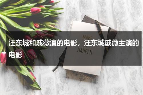 汪东城和戚薇演的电影，汪东城戚薇主演的电影（汪东城拍的爱情剧）-第1张图片-九妖电影